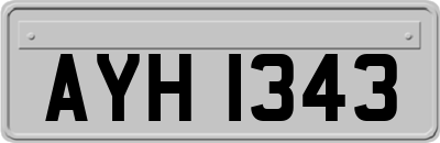 AYH1343