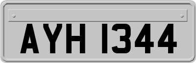 AYH1344