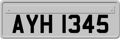 AYH1345