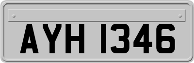AYH1346