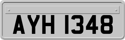 AYH1348