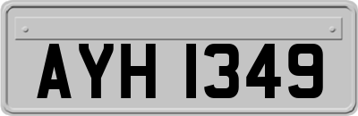 AYH1349