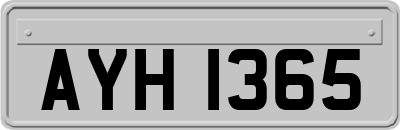 AYH1365