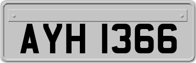 AYH1366