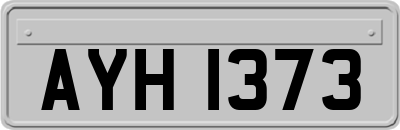 AYH1373