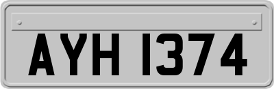 AYH1374