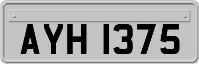 AYH1375