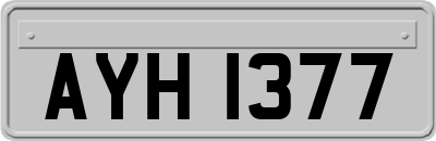 AYH1377
