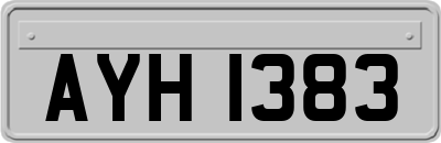 AYH1383