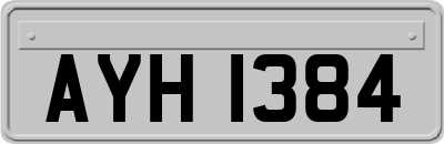 AYH1384