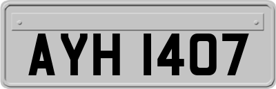 AYH1407