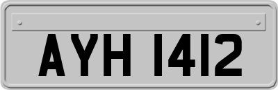 AYH1412