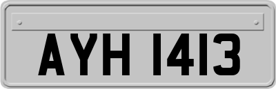 AYH1413