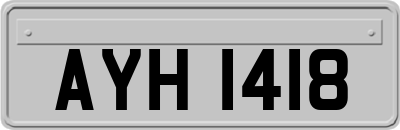 AYH1418