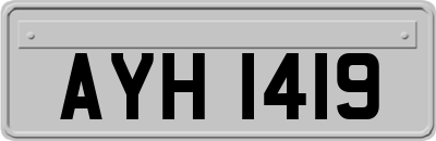 AYH1419