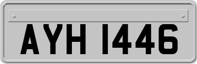 AYH1446