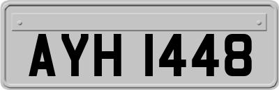 AYH1448