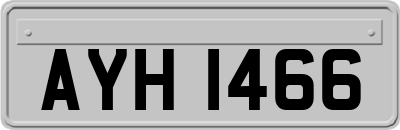AYH1466