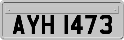 AYH1473