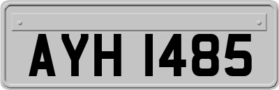 AYH1485