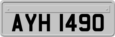 AYH1490