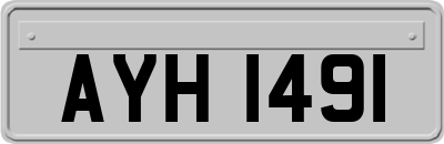 AYH1491