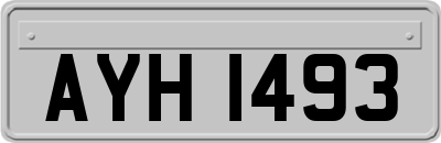 AYH1493