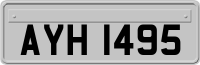 AYH1495