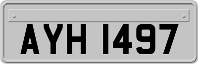 AYH1497