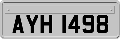 AYH1498