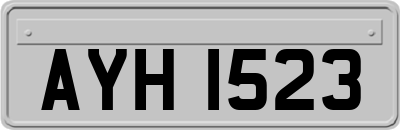 AYH1523