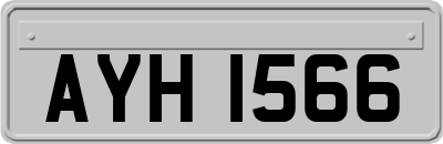 AYH1566