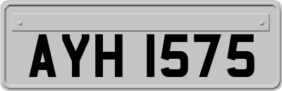 AYH1575