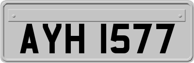 AYH1577