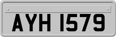 AYH1579