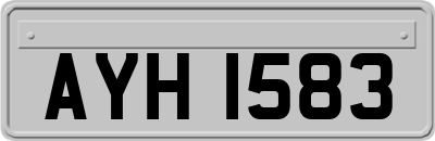 AYH1583
