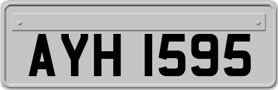 AYH1595