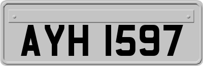 AYH1597
