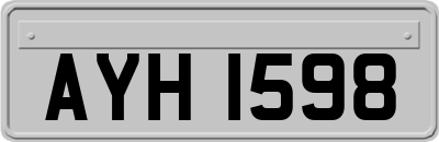 AYH1598