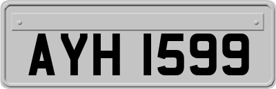 AYH1599