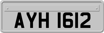 AYH1612