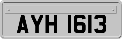 AYH1613