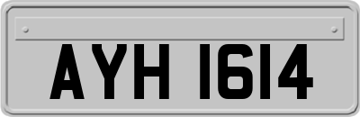 AYH1614