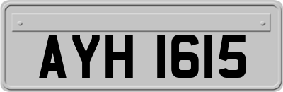 AYH1615