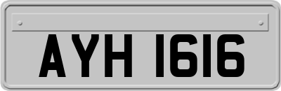 AYH1616