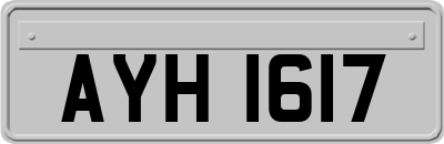 AYH1617