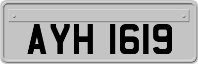 AYH1619