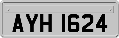 AYH1624