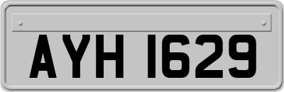 AYH1629