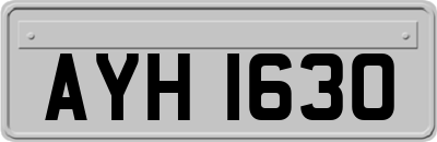AYH1630